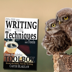 CBs Top 100 Writing Tips, Tricks, Techniques and Tools from the Advice Toolbox