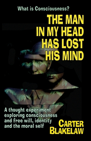 The Man in My Head Has Lost his Mind (What is Consciousness?)